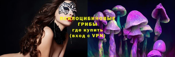 ECSTASY Ростов