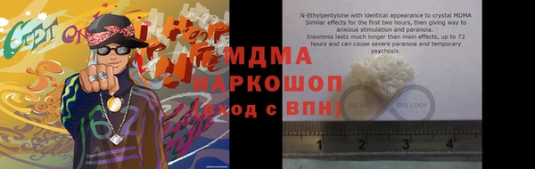 индика Козельск