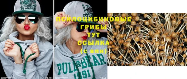 сатива Абаза