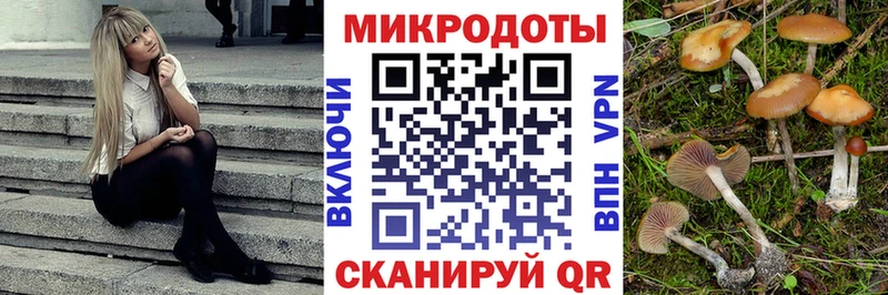 Галлюциногенные грибы мухоморы купить закладку Дубна