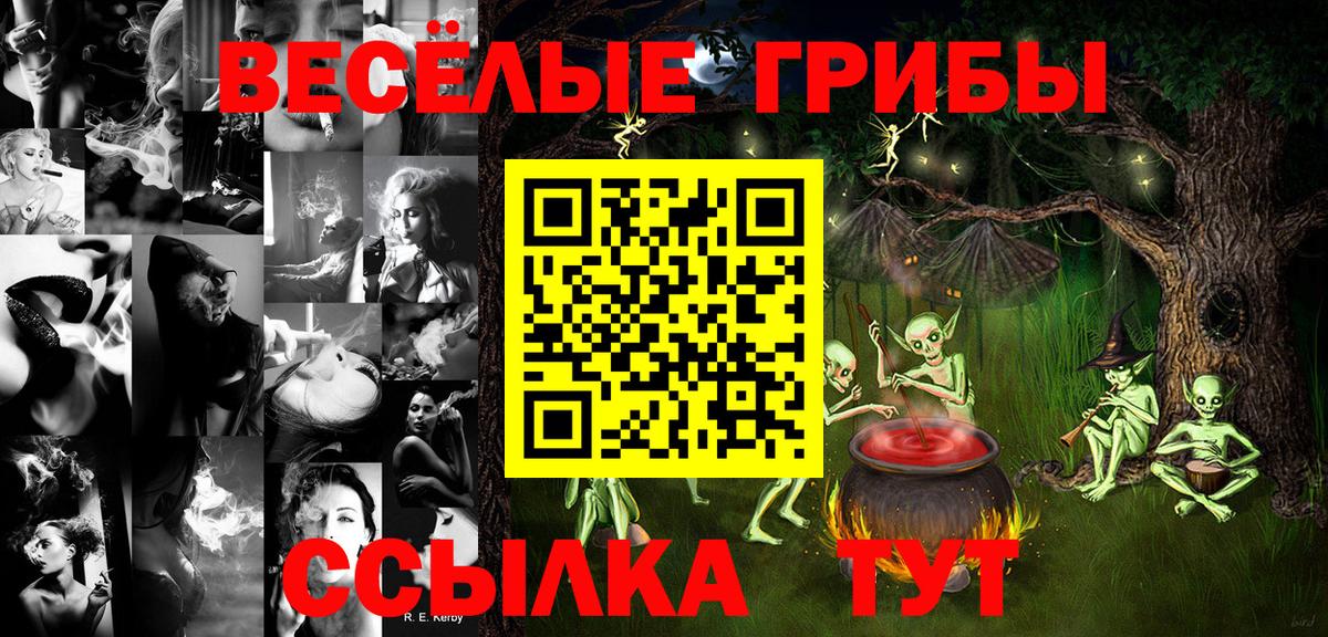 Галлюциногенные грибы GOLDEN TEACHER  Псилоцибиновые грибы MAGIC MUSHROOMS  Вход с VPN  Дубна 