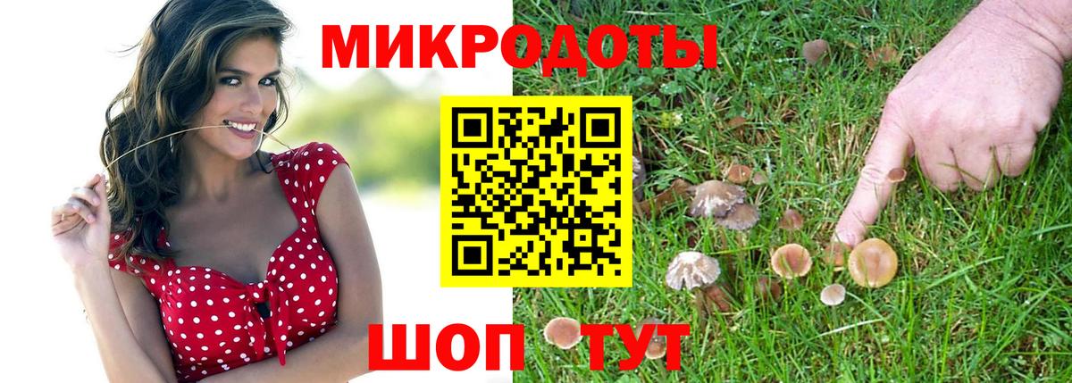 Псилоцибиновые грибы Magic Shrooms Дубна