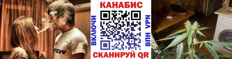 Бошки марихуана гибрид Дубна