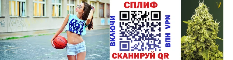 Бошки Шишки SATIVA & INDICA  дарк нет клад  Дубна 